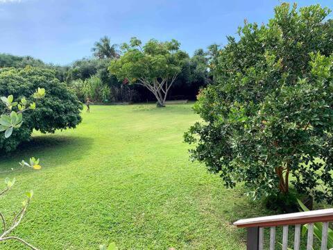 North Shore Garden Suite Haleiwa Exterior foto